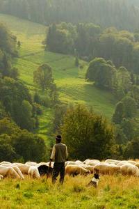 LESOTHO/MINNI
